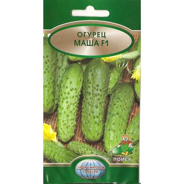 Огурец «Машенька f1»: особенности сорта (видео)