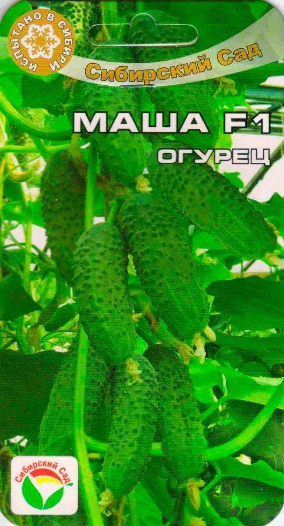 Как ухаживать за огурцами (видео)