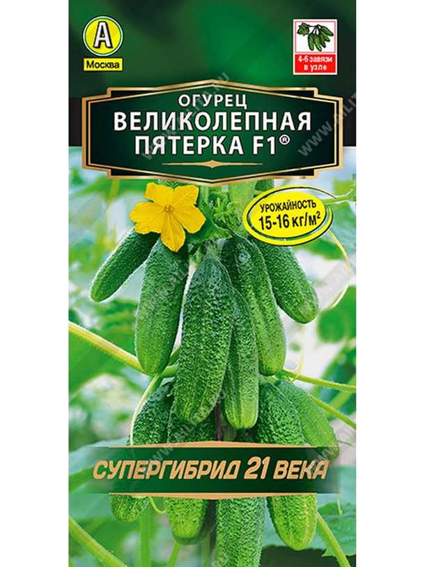 Огурец «РТМ f1» новинка из серии «Великолепная пятерка» Огурец «РТМ f1» новинка из серии «Великолепная пятерка»