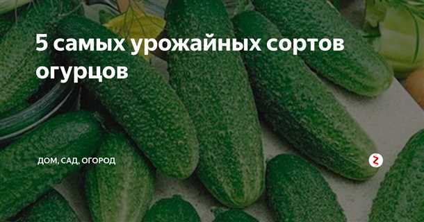 Высокая урожайность