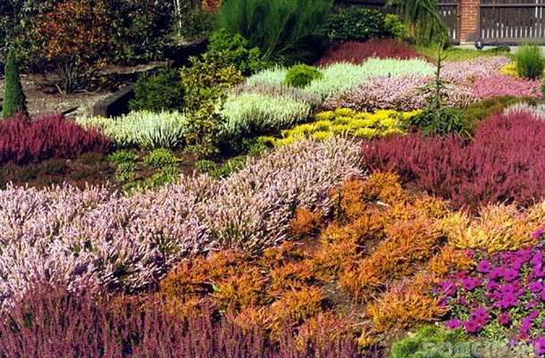 2. Недостаток питательных веществ