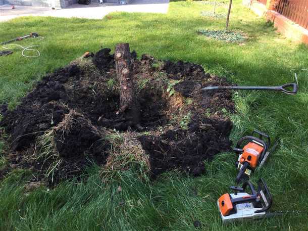 undefinedКорчевание пней</strong> – необходимая процедура при проведении масштабных строительных или ландшафтных работ, а также при подготовке участка под постройку новой инфраструктуры. Деревянные пни растений могут представлять преграду для проведения дальнейших работ, поэтому их устранение является неотъемлемой частью проекта. Существует несколько способов удаления пней – механический и химический.