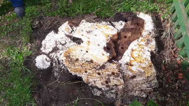 undefinedМеханический способ</strong> заключается в использовании специализированной техники для полного извлечения пней из земли. Одним из популярных методов является фрезерование – процесс, при котором пень удаляется с помощью фрезерного аппарата. Этот инструмент обладает острыми ножами, которые вращаются с высокой скоростью и постепенно разрушают пень. Данная технология позволяет полностью удалить пень, а затем получить свободный участок для дальнейшего использования.