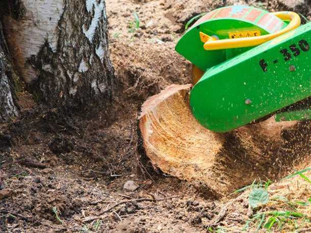 undefinedХимический метод</em> также является эффективным способом для удаления пней. Он заключается в обработке остатков пня химическим веществом, которое проникает в ствол и уничтожает его изнутри. Для этого применяют специальные химические препараты, которые вводятся в ствол пня или наносятся поверхностью.