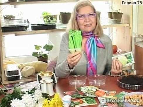 Подготовка почвы