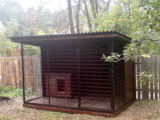 Учтите поведение и энергичность собаки