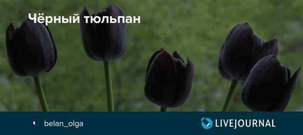 Группировка с другими растениями