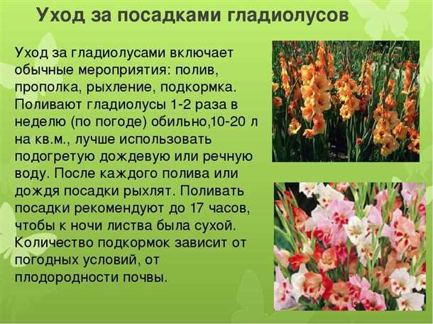 Ботанические особенности