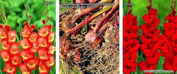 Правила посадки