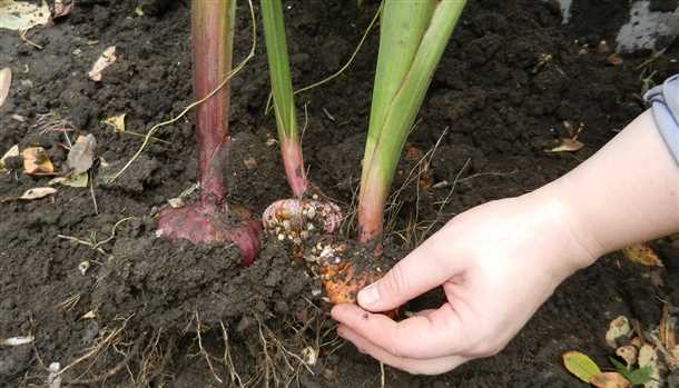 Правильная техника посадки