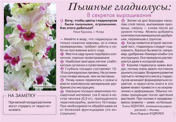 4. Удаление отцветших цветов