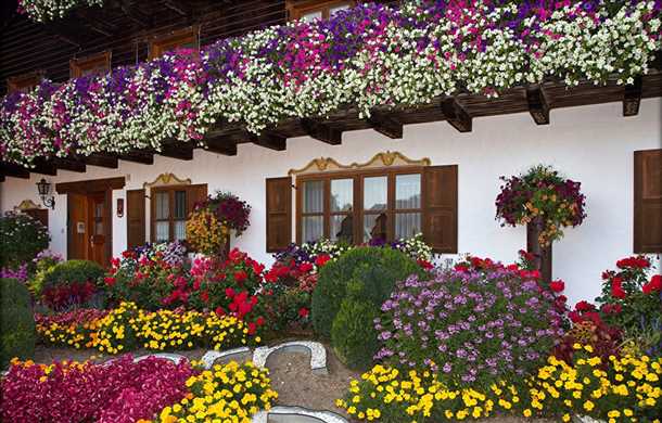 Фотогалерея