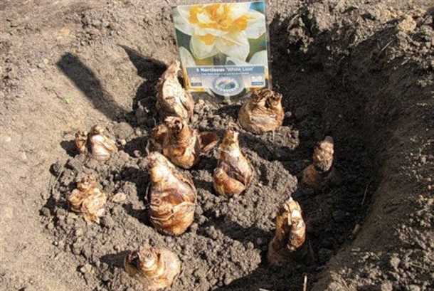 Советы и рекомендации