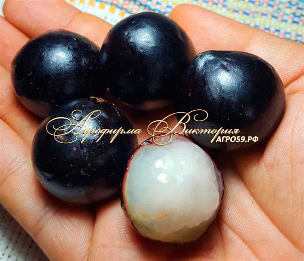 1. Выбор подходящего места для посадки