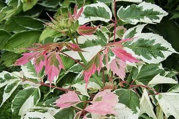 Подготовка к перевалке