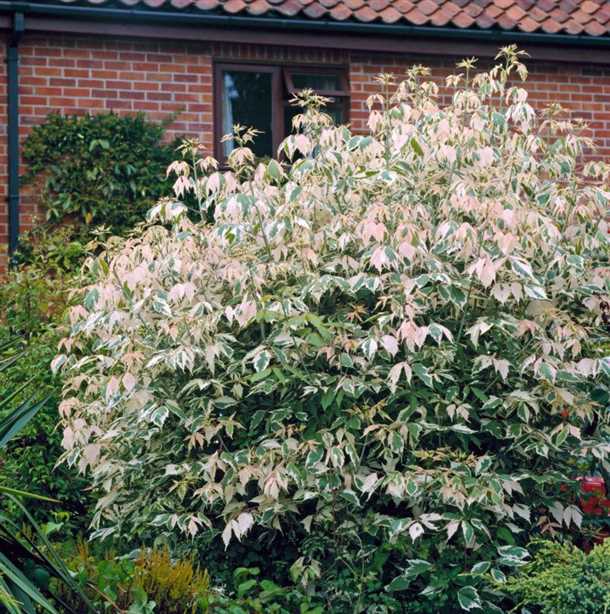 Выполнение перевалки