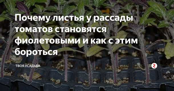 Сверхувлажнение почвы