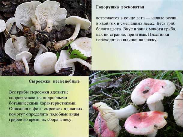 Особенности приготовления