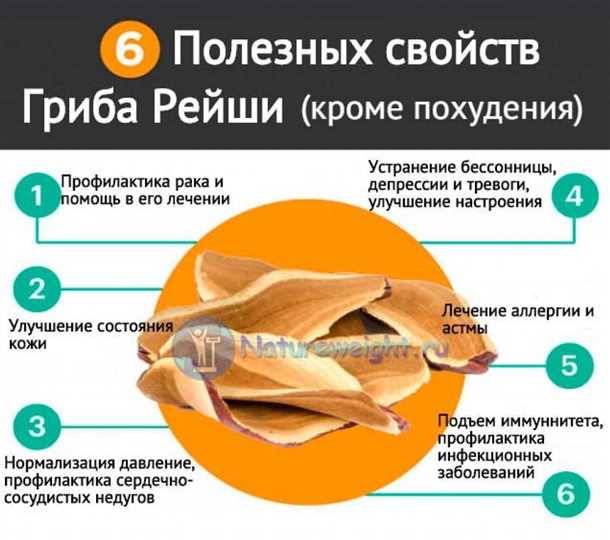 Наиболее популярные лекарственные формы