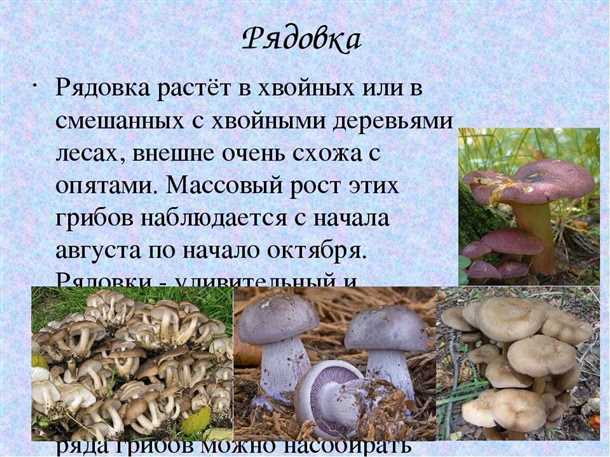 Споровый порошок и место обитания