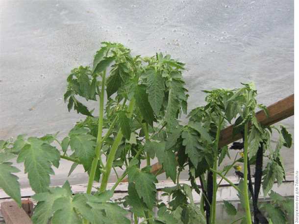 Меры профилактики