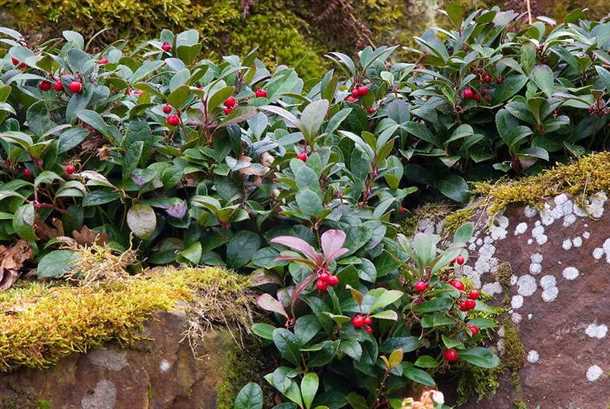 Температура и влажность